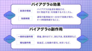 バイアグラの効果と副作用の図解